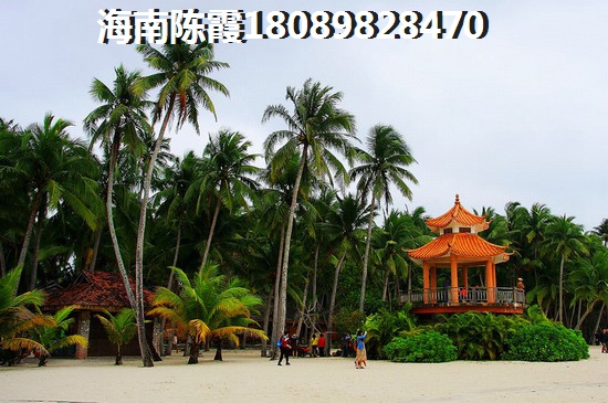临高买房后悔了吗？