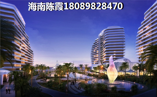 临高XG政策