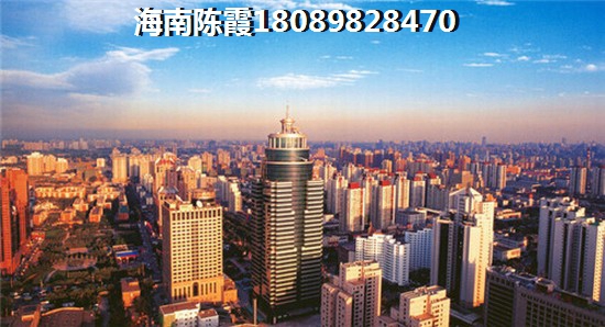 临高房子怎么样纸不纸得买2