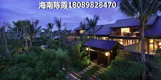 《半岛阳光》还会生纸吗1