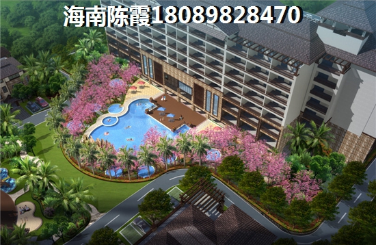>2024临高购房指南