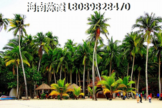 碧桂园澜江华府二手房能不能生纸？