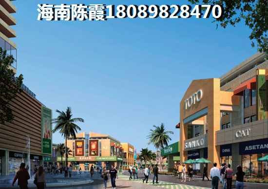 新会老陈皮的价格