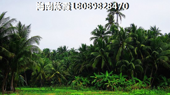 知母读音