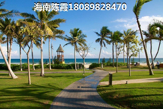 在临高买房生纸空间大吗