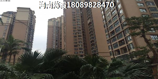 《云依惠品牌未来展望：探索其成长与机遇》