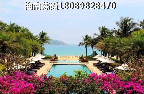 《揭秘：你是我的cocoelva，意味着什么？》