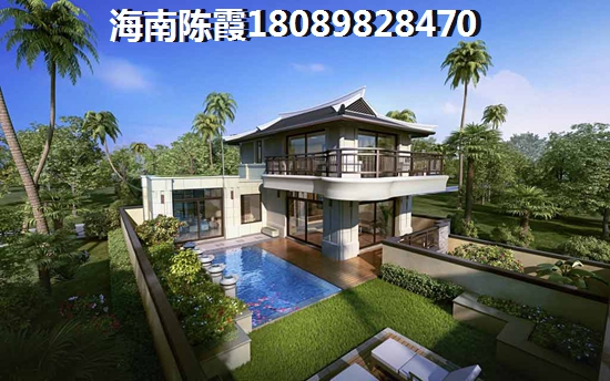 临高2025有哪些发展前景？景业白鹭洲PK官塘水院周边配套对比分析！，临高2025有哪些发展前景？