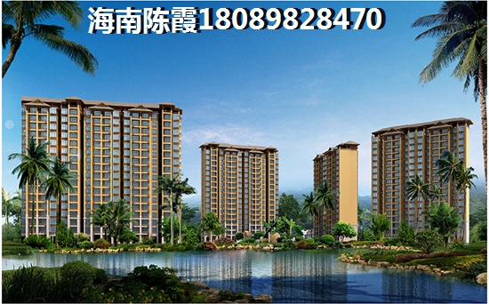深圳小户型的房子该不该买？广东深圳小户型好还是商品房好？